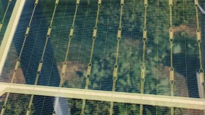 Advancing Agrivoltaics in Virginia